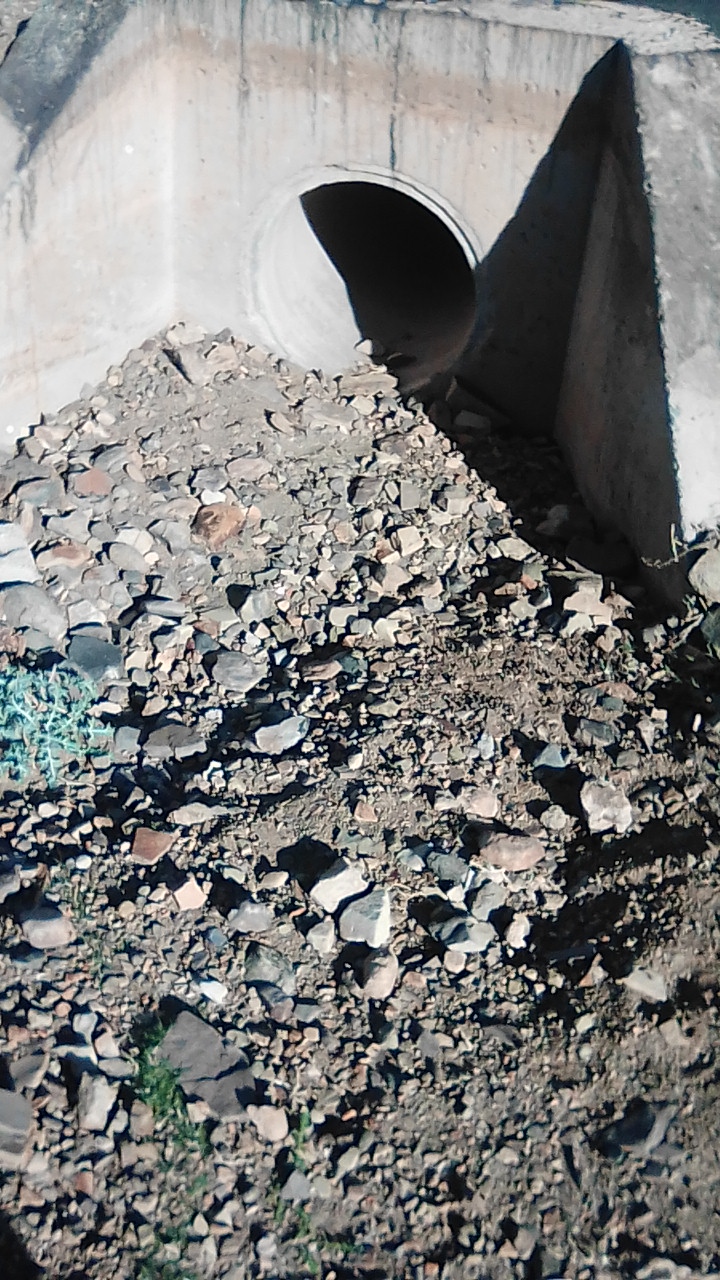 IMG-20210521-WA0019