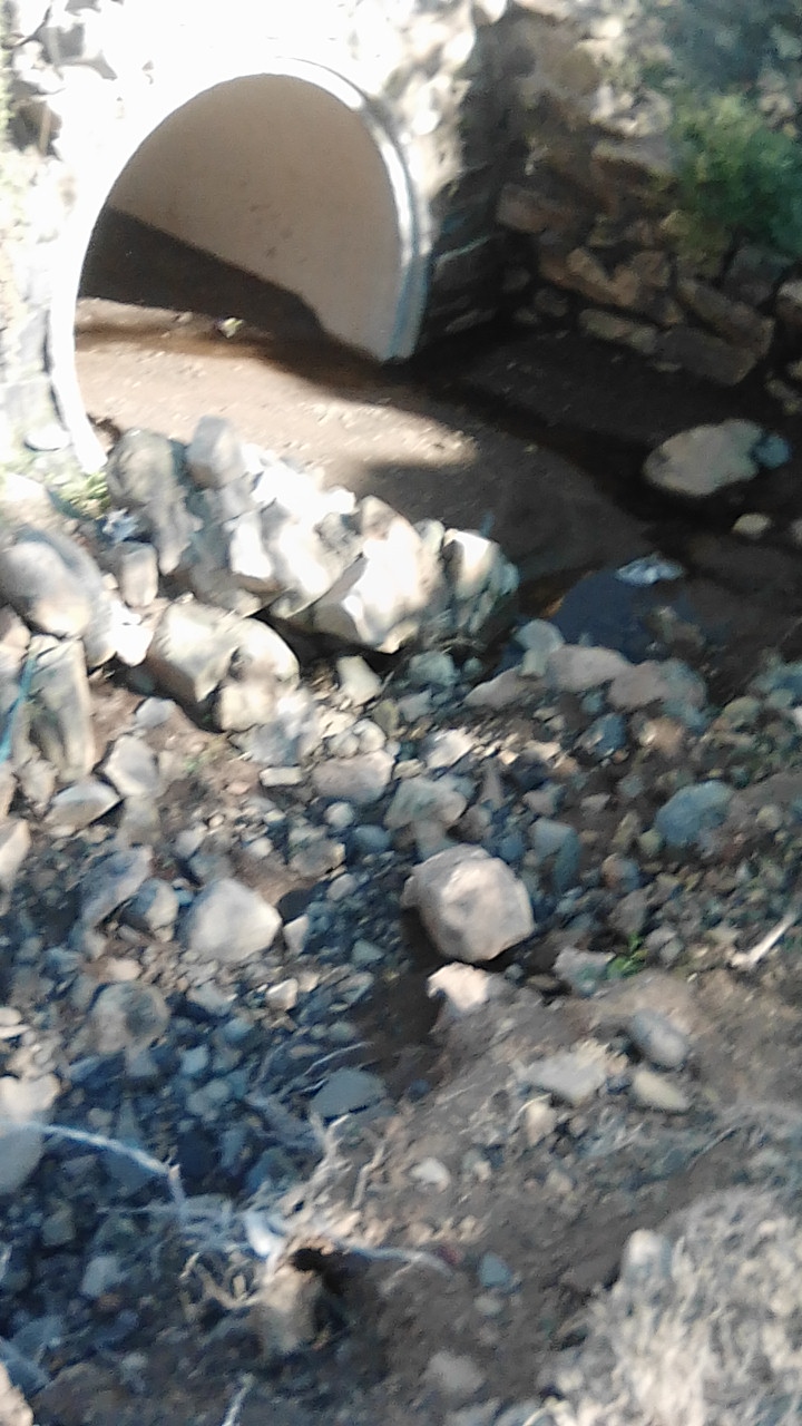 IMG-20210521-WA0020