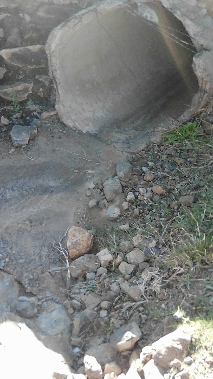 IMG-20210521-WA0027
